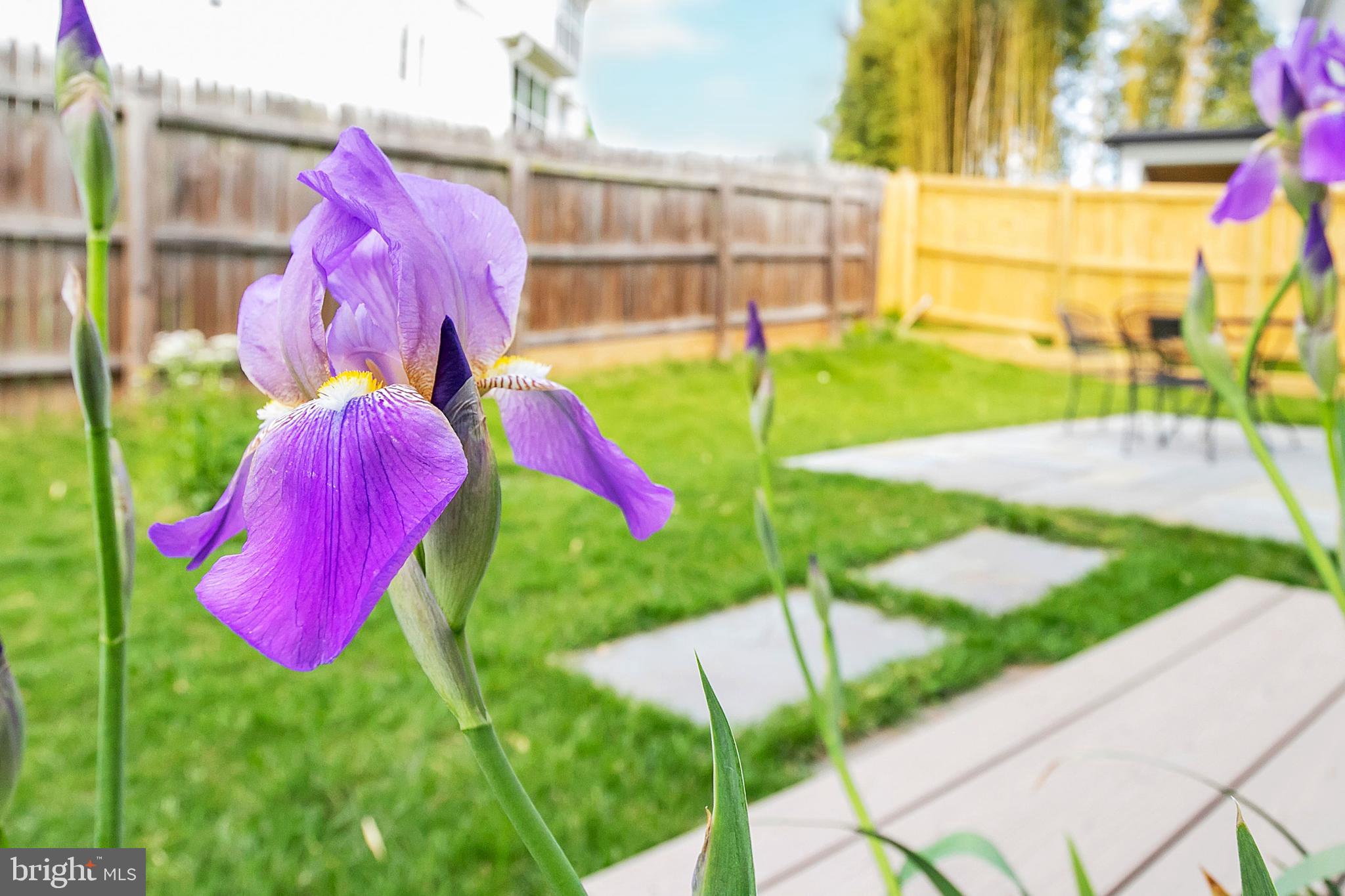 NORTH BETHESDA GROVE - Residential