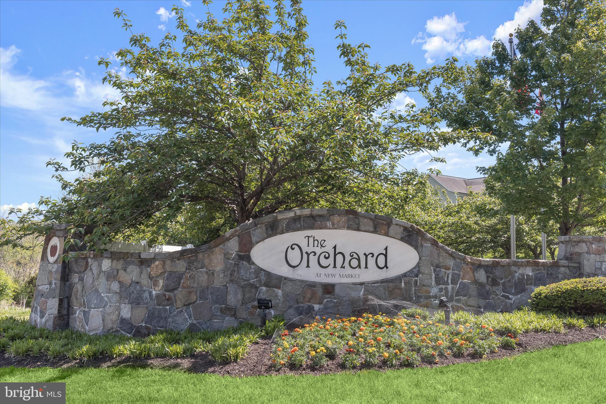 ORCHARD AT NEW MARKET - Residential