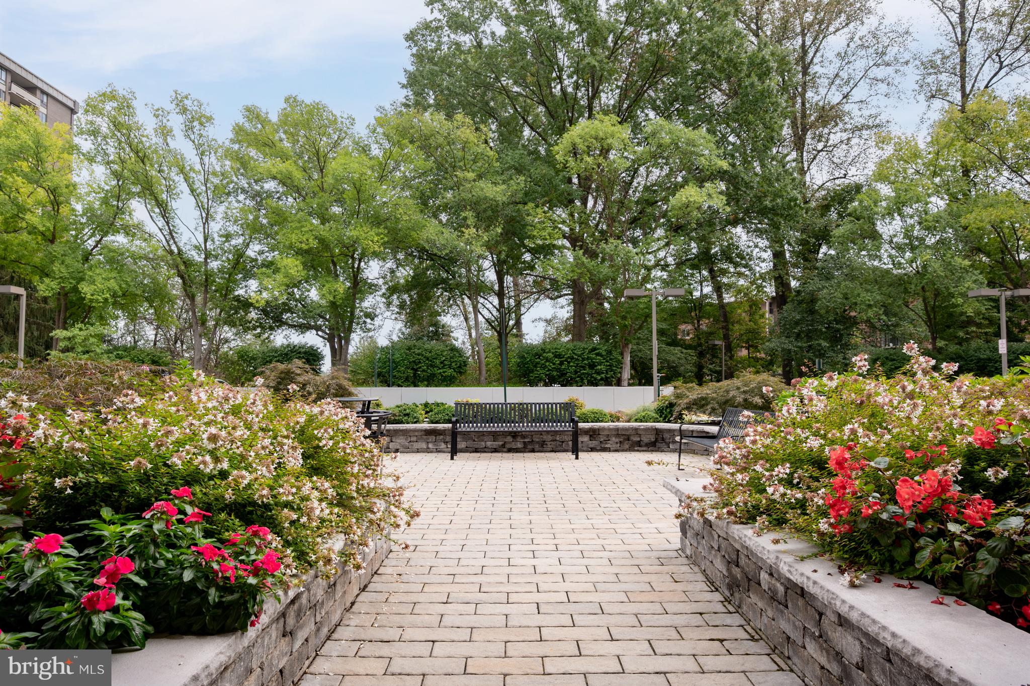 ENCORE OF MCLEAN - Residential