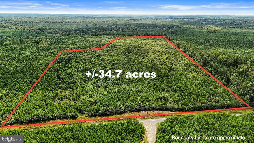 Lush, wooded 34 + acre lot in Milford, VA.  Beautiful property to build your dream home or family compound.  Rural living conveniently located near Historic Bowling Green, Tappahannock, Richmond and Fredericksburg.  Great location for outdoor enthusiasts.

Electricity runs along the road. Recent soil tests performed with two conventional septic locations identified. Survey completed in August 2025.  You have the option to divide the property into two estate lots if you choose. 

Come see the property today! Call and schedule a showing.