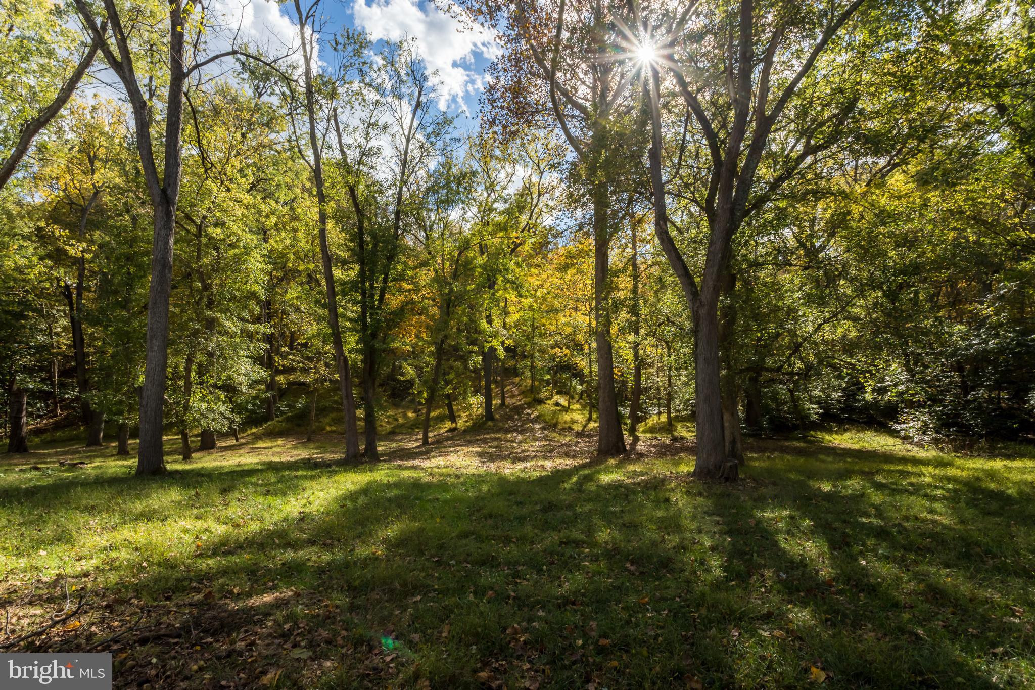 CALMES NECK ESTATES - Residential