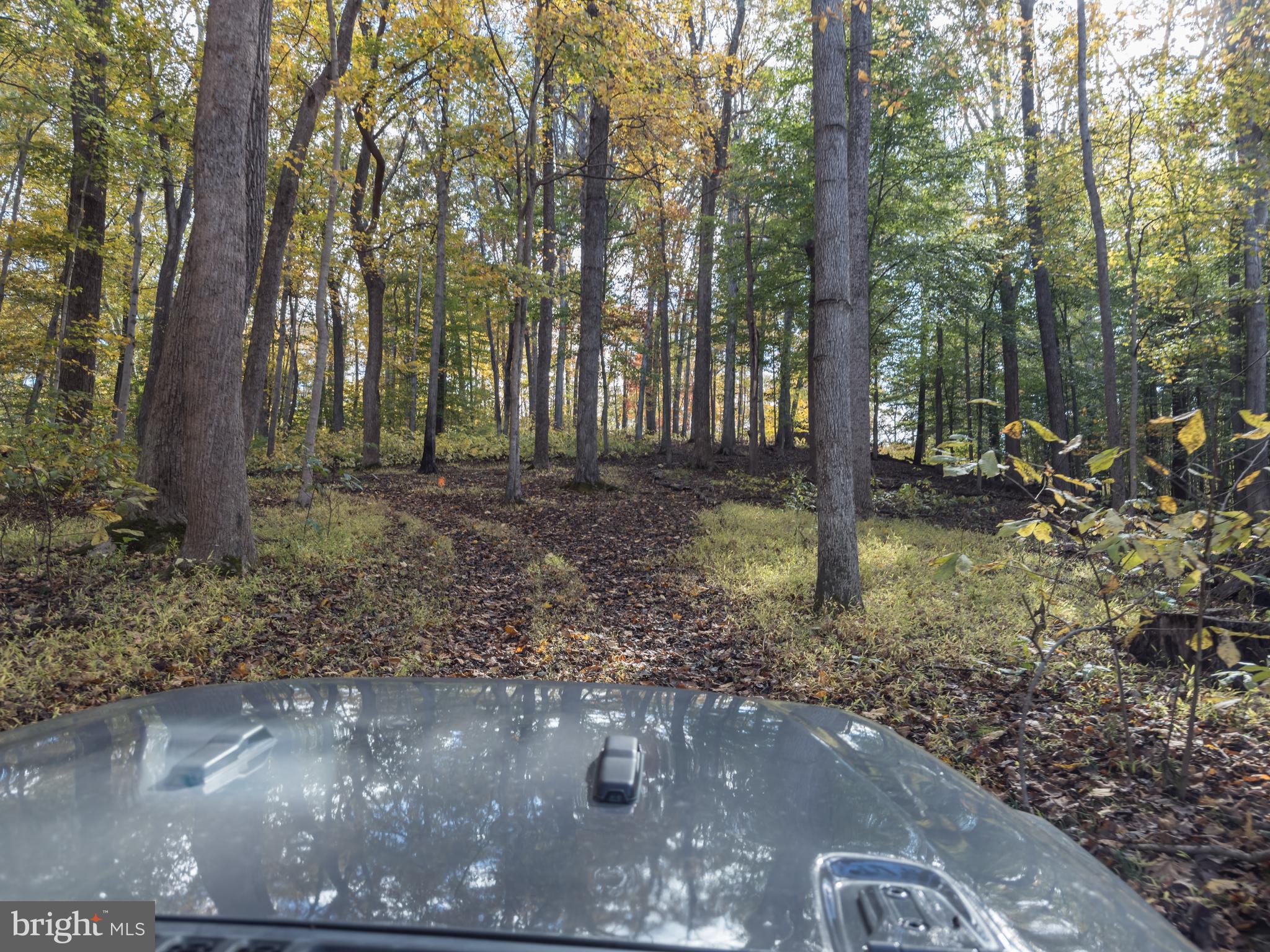 CALMES NECK ESTATES - Residential