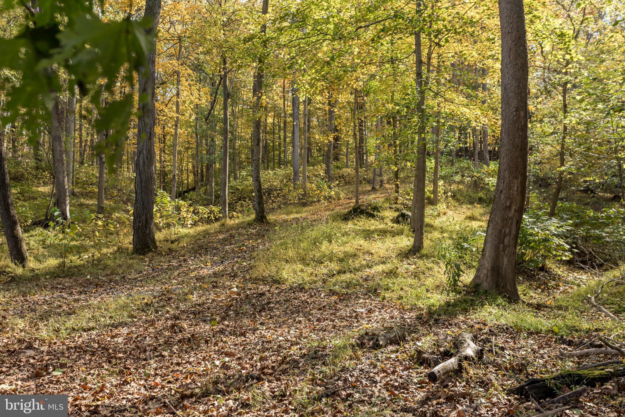 CALMES NECK ESTATES - Residential