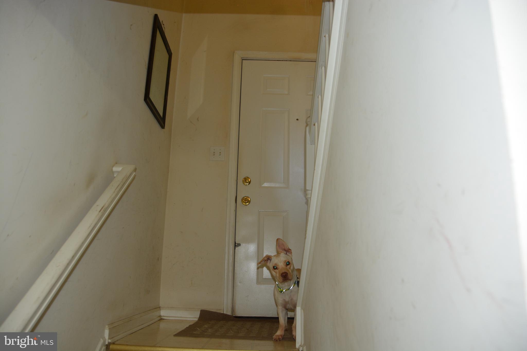 RIDGE TERRACE - Residential