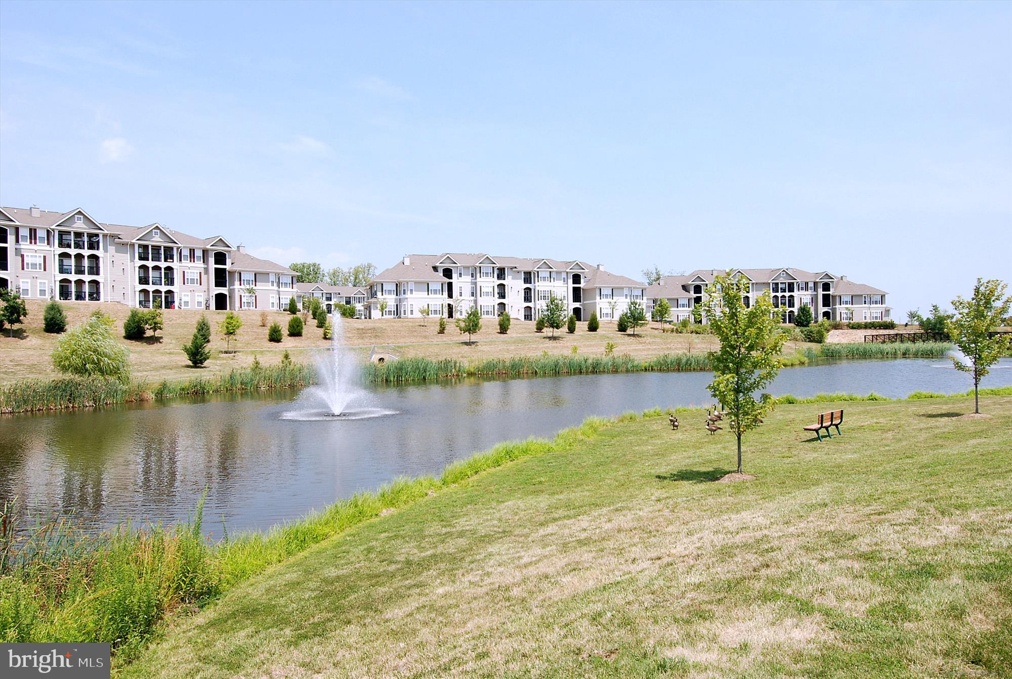 TAVISTOCK FARMS - Residential