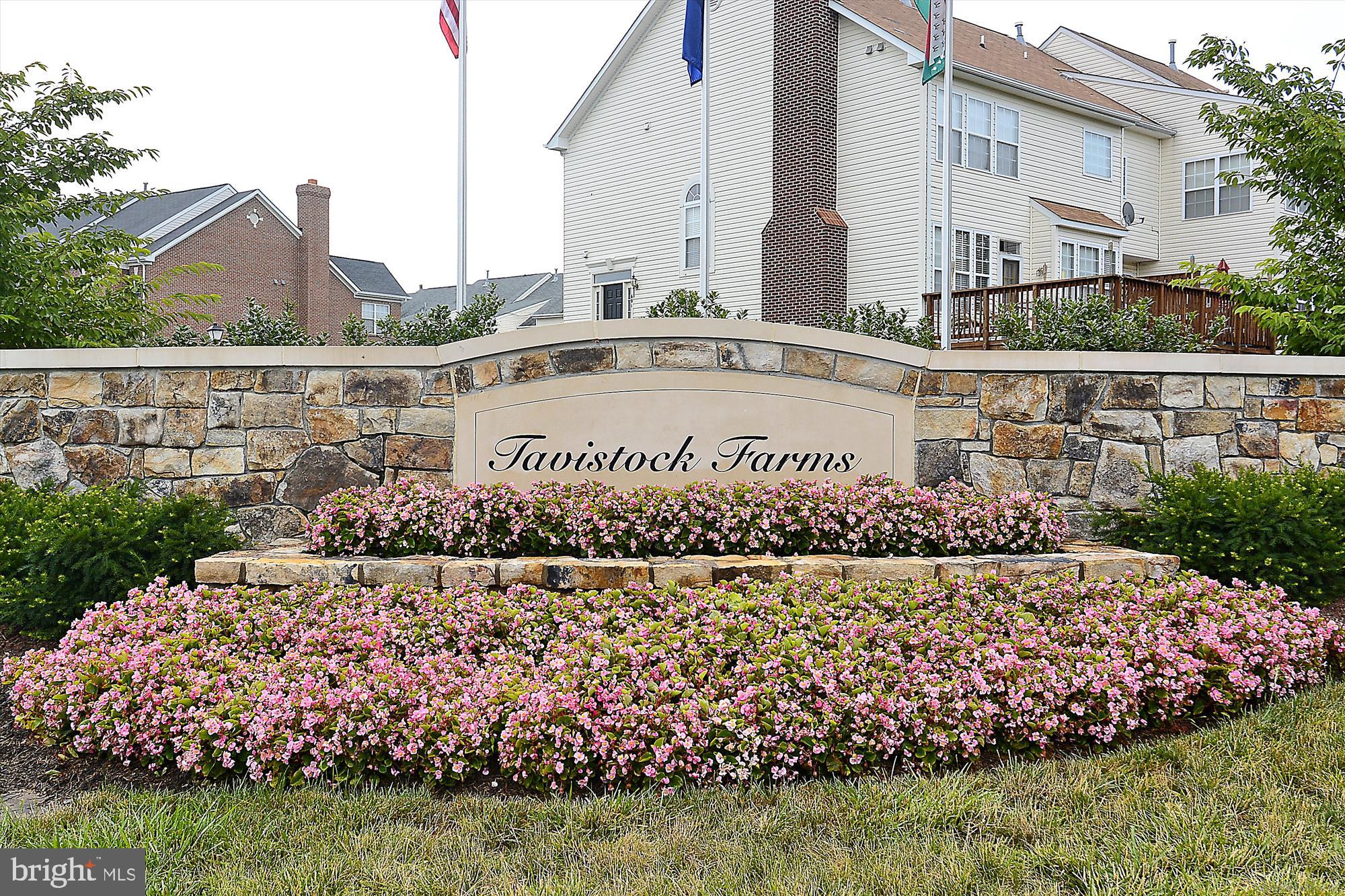 TAVISTOCK FARMS - Residential