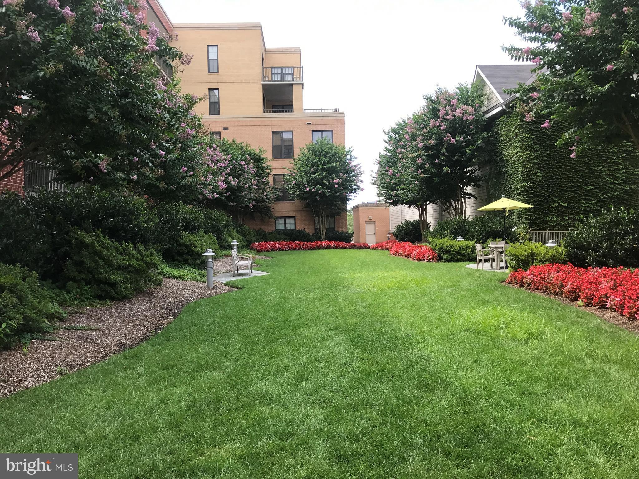 SPECTRUM CONDO - Residential Lease