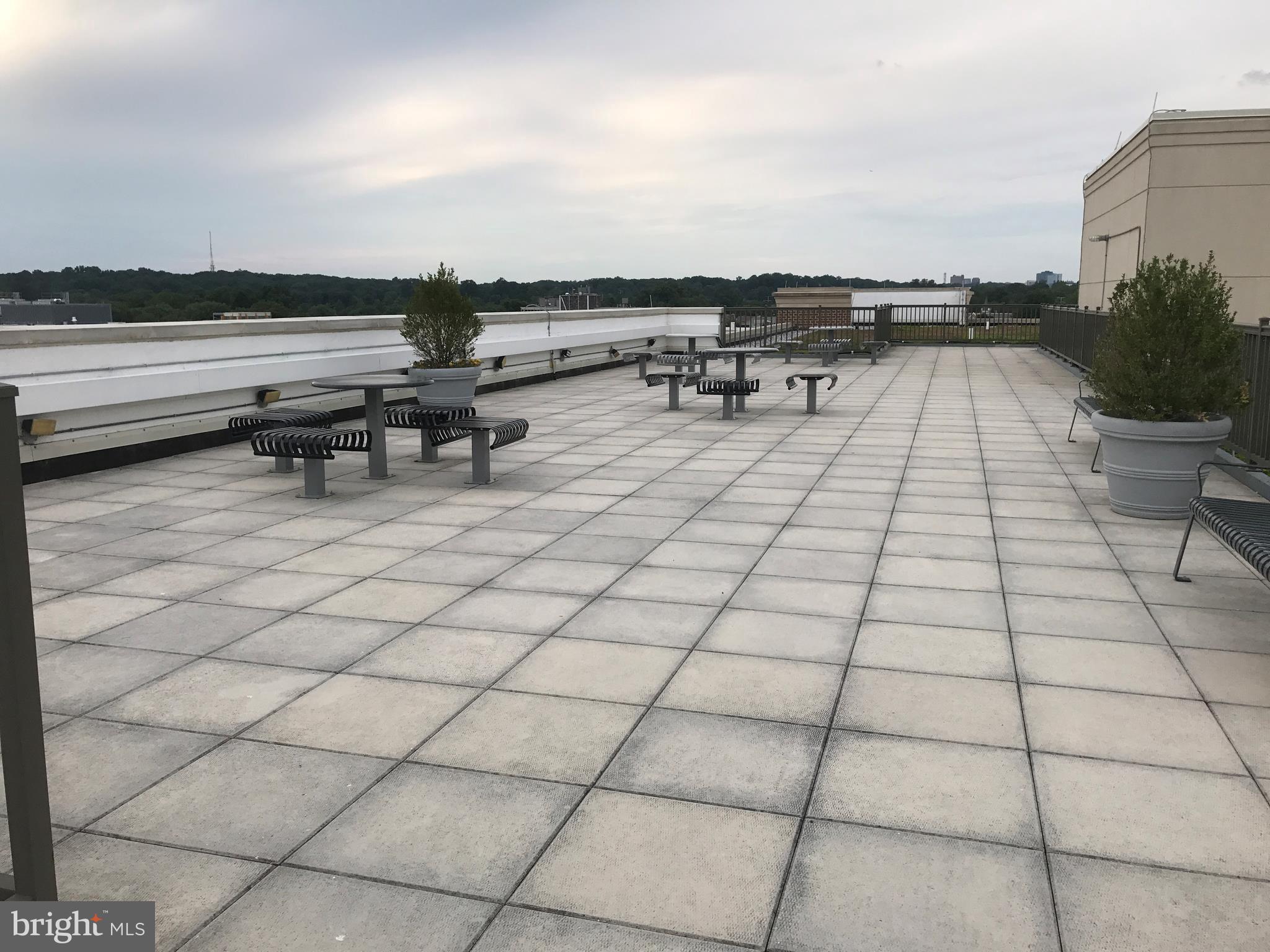 SPECTRUM CONDO - Residential Lease