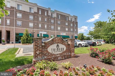 5400 AUTH ROAD 337 SUITLAND MD 20746
