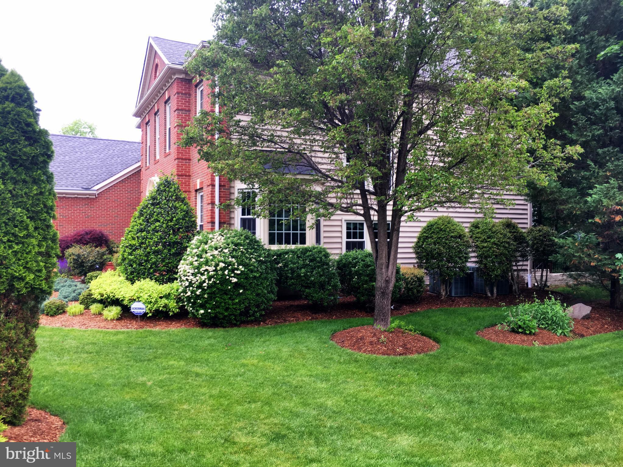 VIRGINIA OAKS - Residential