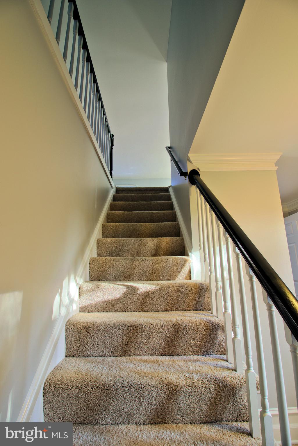 CLOVERFIELDS - Residential