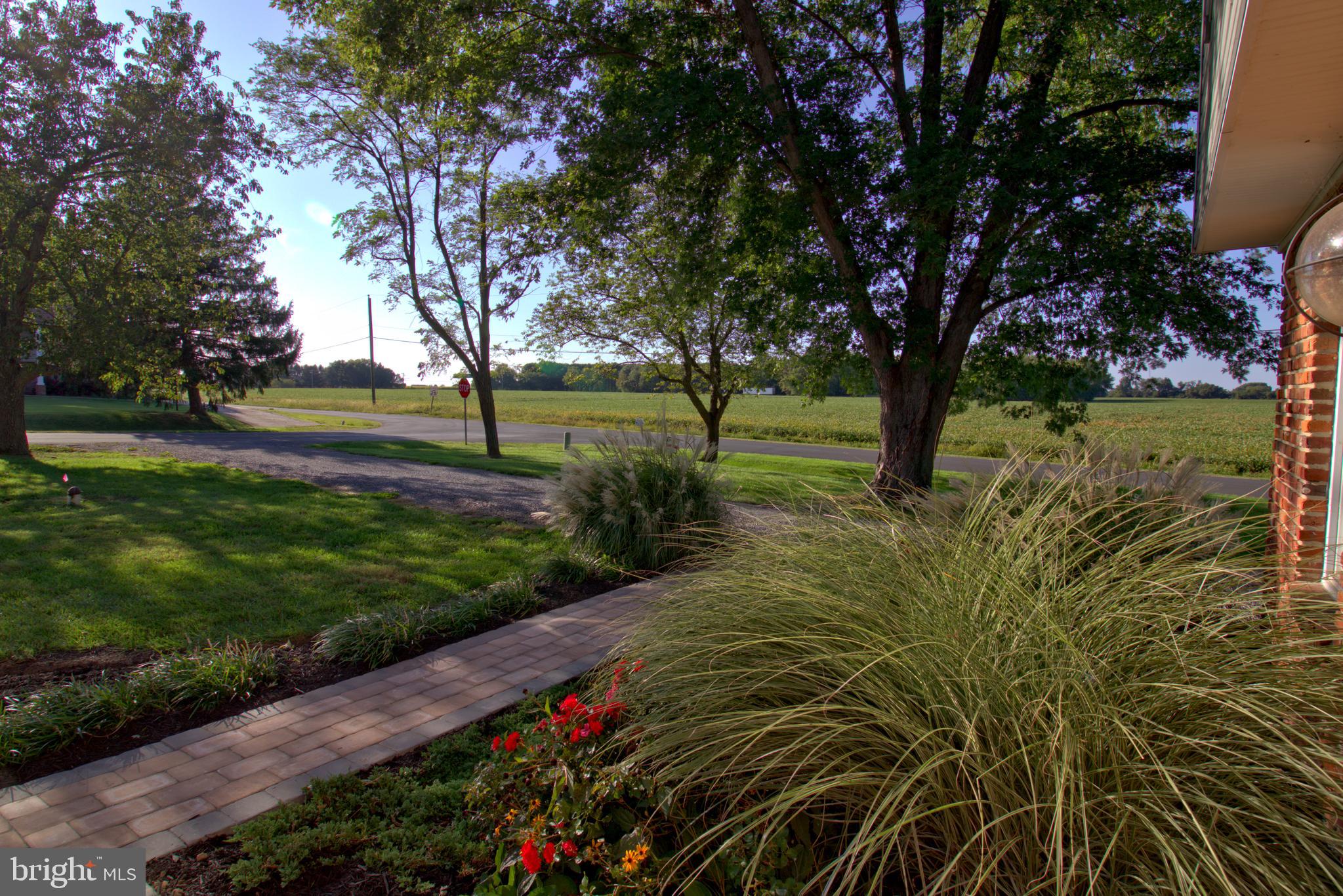 CLOVERFIELDS - Residential