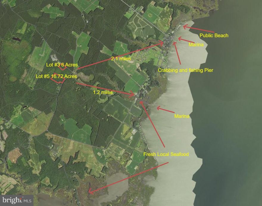 Nice High 6 acre wooded Lot close to Public Landing that has an approved SRA location.  Looking for peace and quiet? Ride your bike or golf cart to the Marina were you can dock your boat at a reasonable price and have access to some of the most bountiful waters to fish, crab and clam that are relatively untouched? Perfectly situation between Assateague Island Md (dogs permitted on the beach) and Assateague Island Va .  5 minutes from Snow Hill , 15 miles South of Berlin Md. and 20 Minutes to Ocean City Md.  Native tree species on the property including Paw Paw trees,  White and Red Oaks and over 40 bird species, Whitetail Deer and Turkey.   Located in Worcester County's most scenic and preserved area that will meet or exceed your expectations.