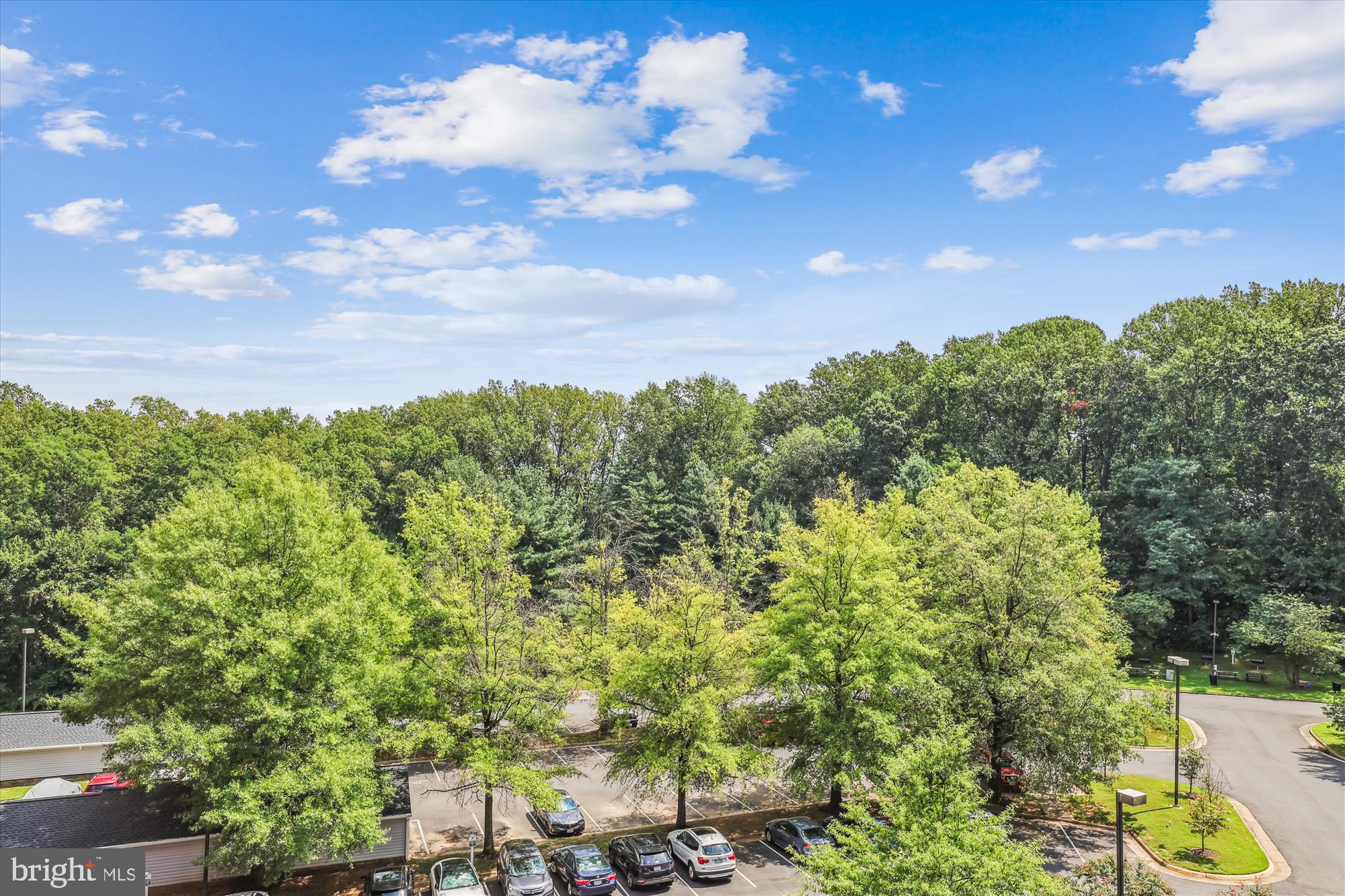 RENAISSANCE AT TYSONS - Residential