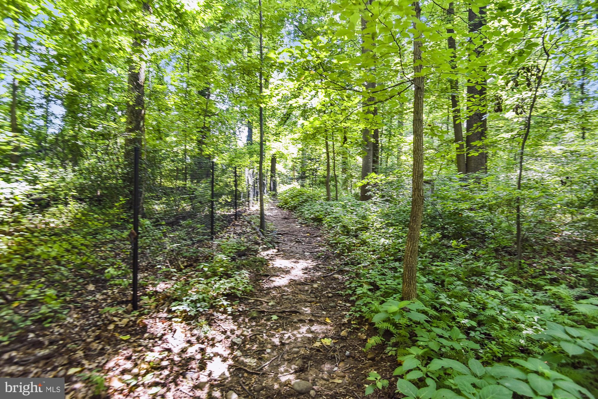 RENAISSANCE AT TYSONS - Residential