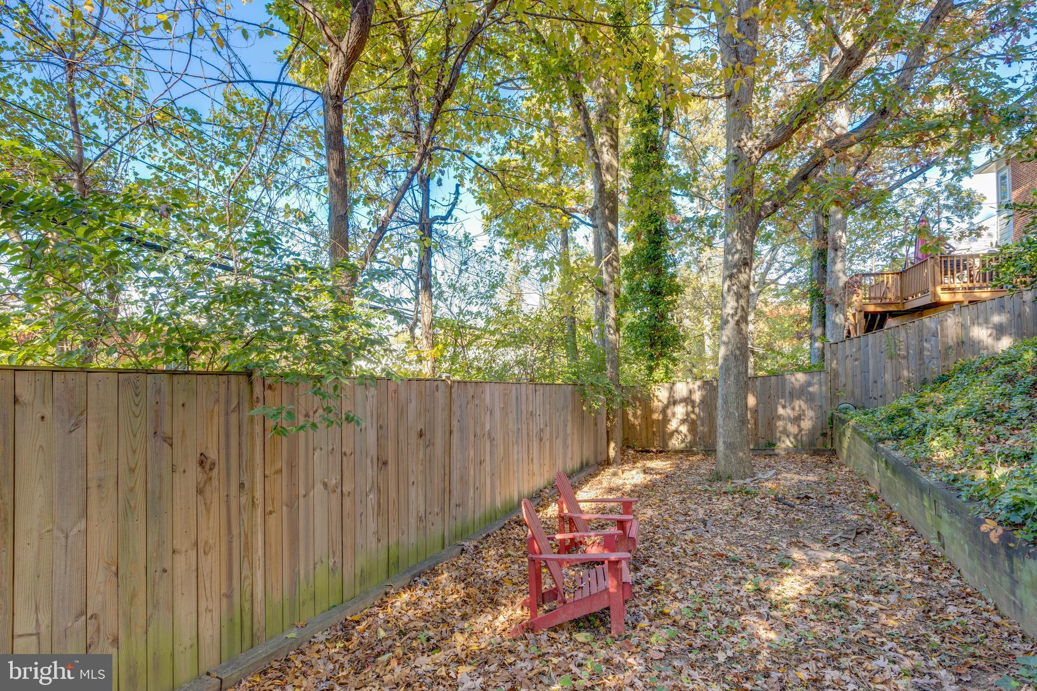 LACEY FOREST - Residential