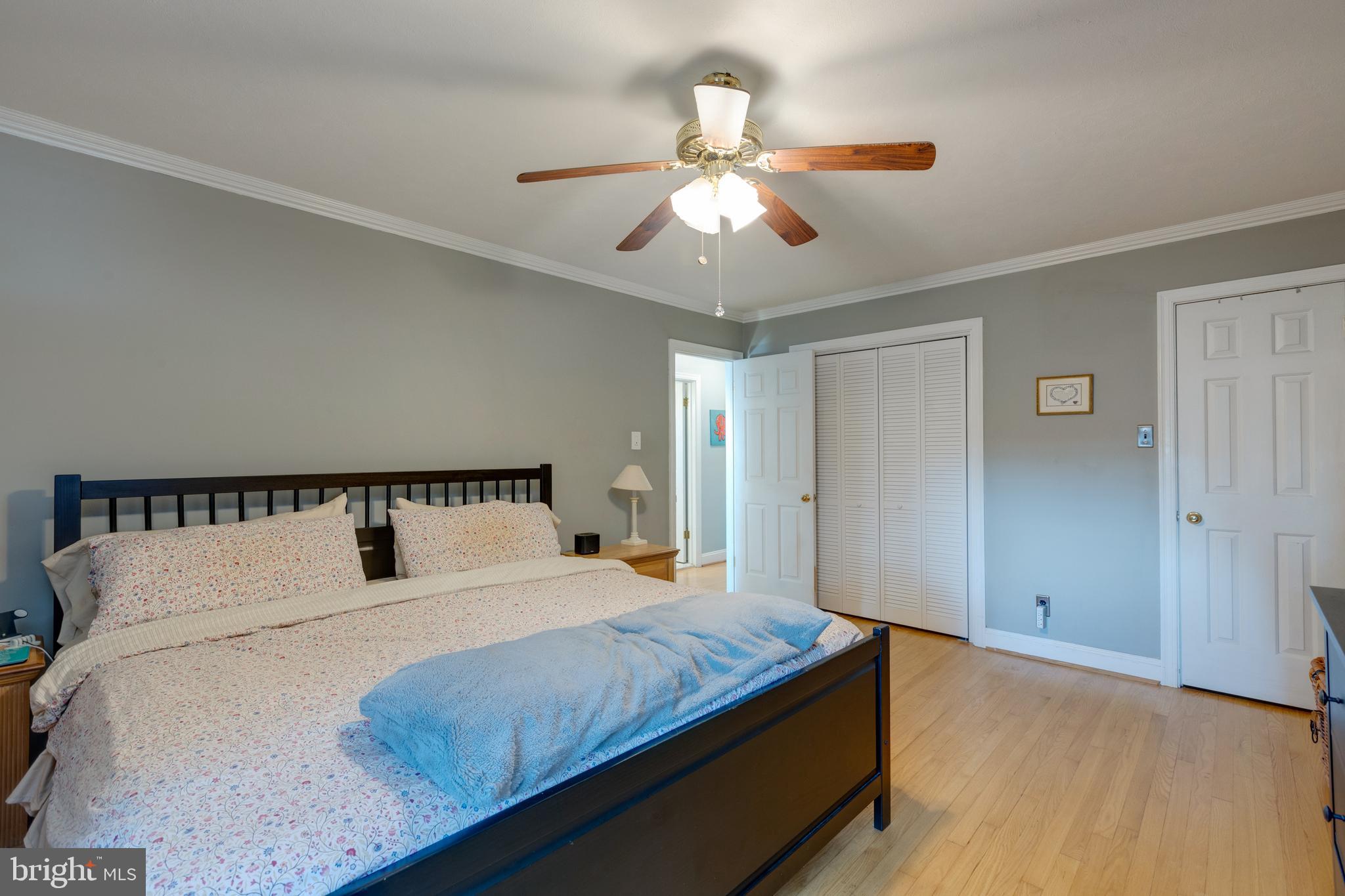 LACEY FOREST - Residential