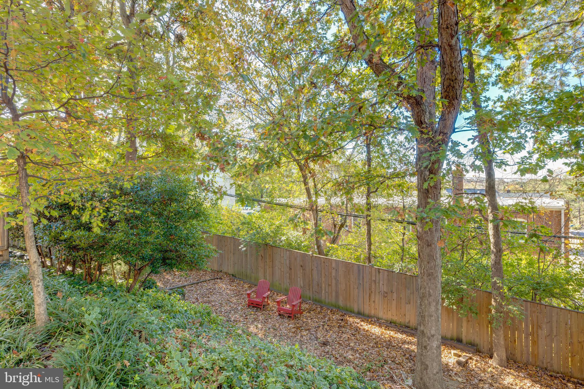 LACEY FOREST - Residential