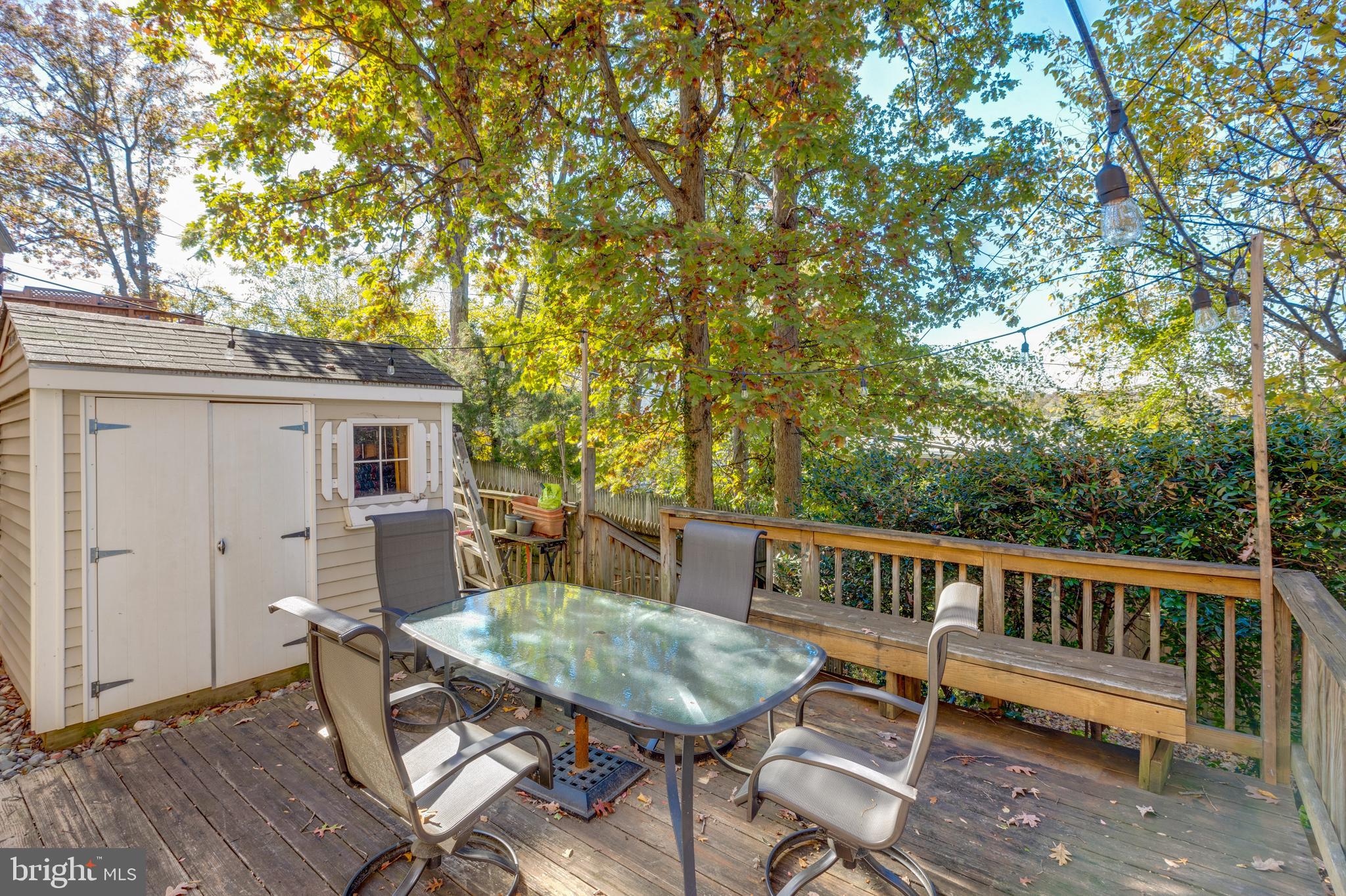 LACEY FOREST - Residential