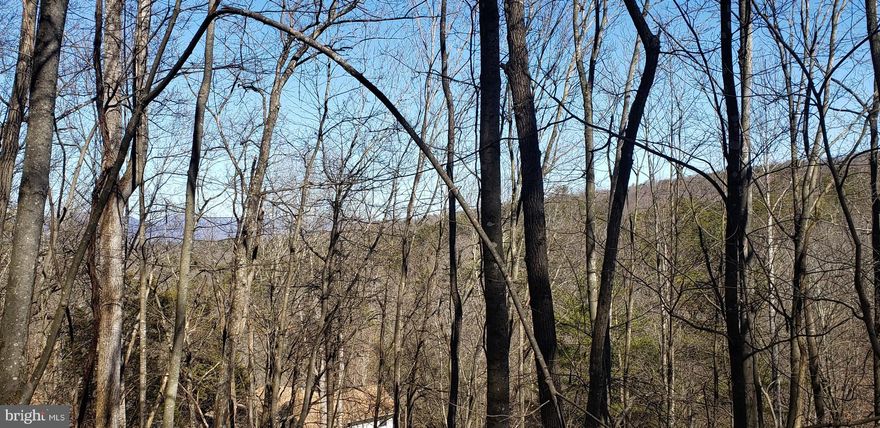 2 Building lots located just off of New Mountain Bike Trails at Bryce Resort.  Beyond the trails is the new Winter Terrain Park, "Thunder Jug"!  What a great location to be close to all of the action at a great 4 Season's Resort!! Lots 34 and 35 are being sold together.  Dividing the 2 lots is an old trail that would be perfect for the driveway up to the house location site on lot 35.  Mountain Views looking North West up the Valley!! NOW is your chance to check out these lots before they disappear.  There are only a couple of vacant lots left close to the ski slopes!! Lots total +/- .89 acres