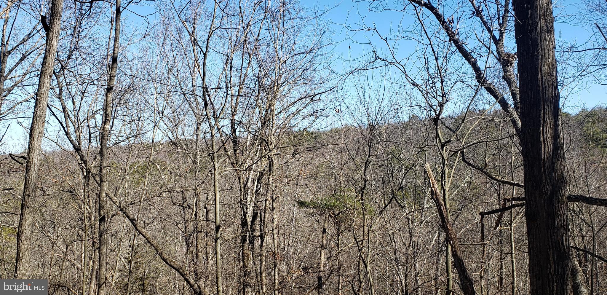 BRYCE  MOUNTAIN  RESORT - Land