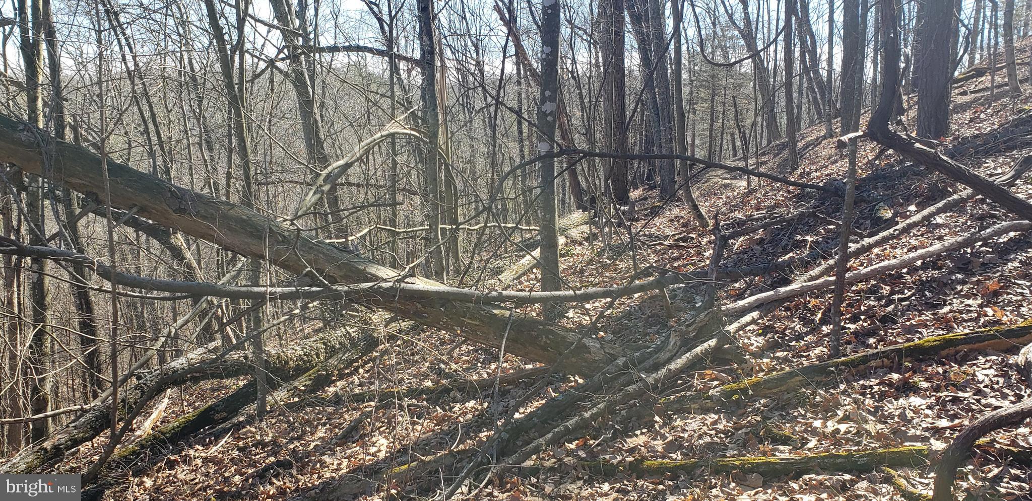 BRYCE  MOUNTAIN  RESORT - Land