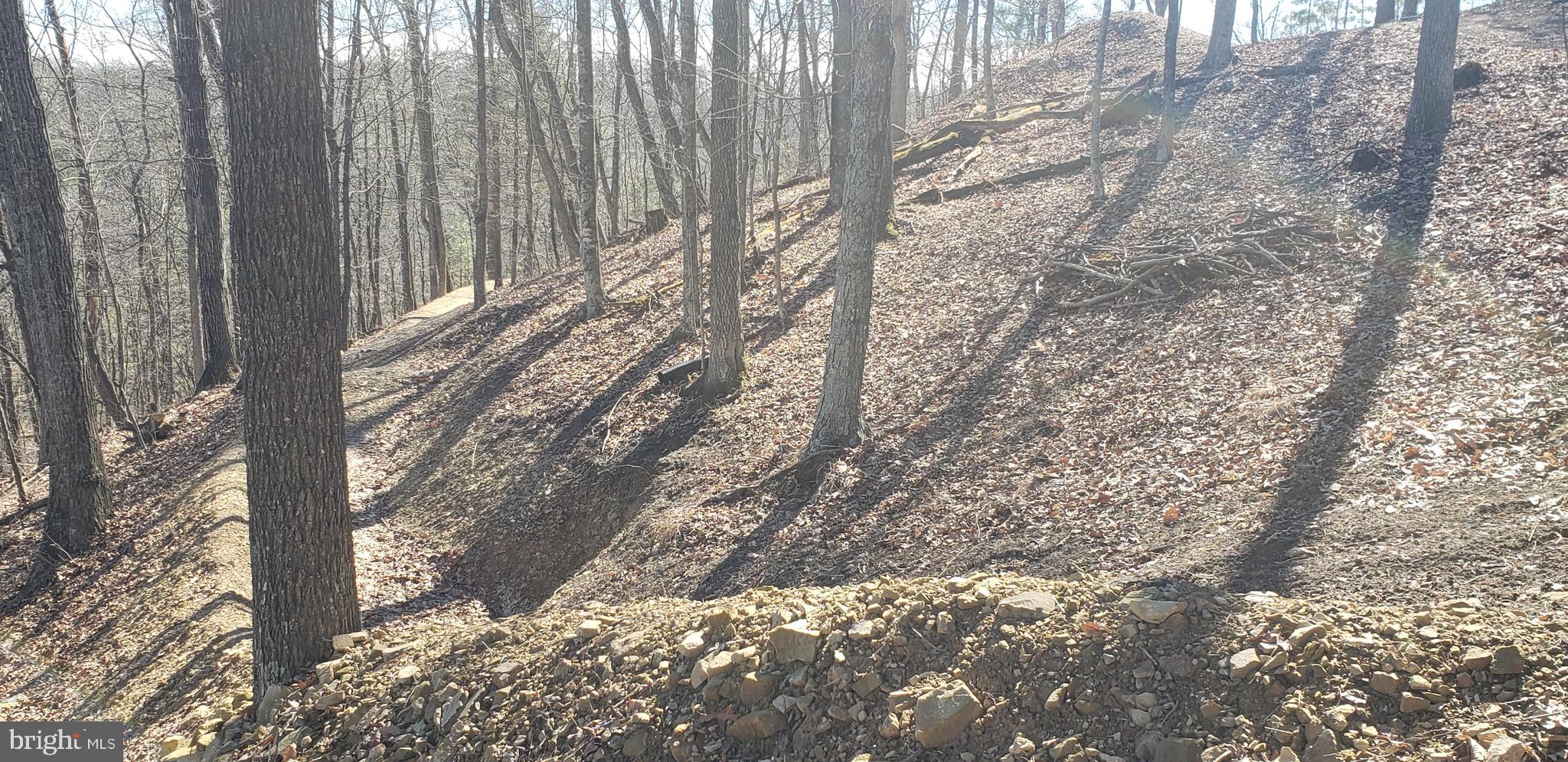 BRYCE  MOUNTAIN  RESORT - Land