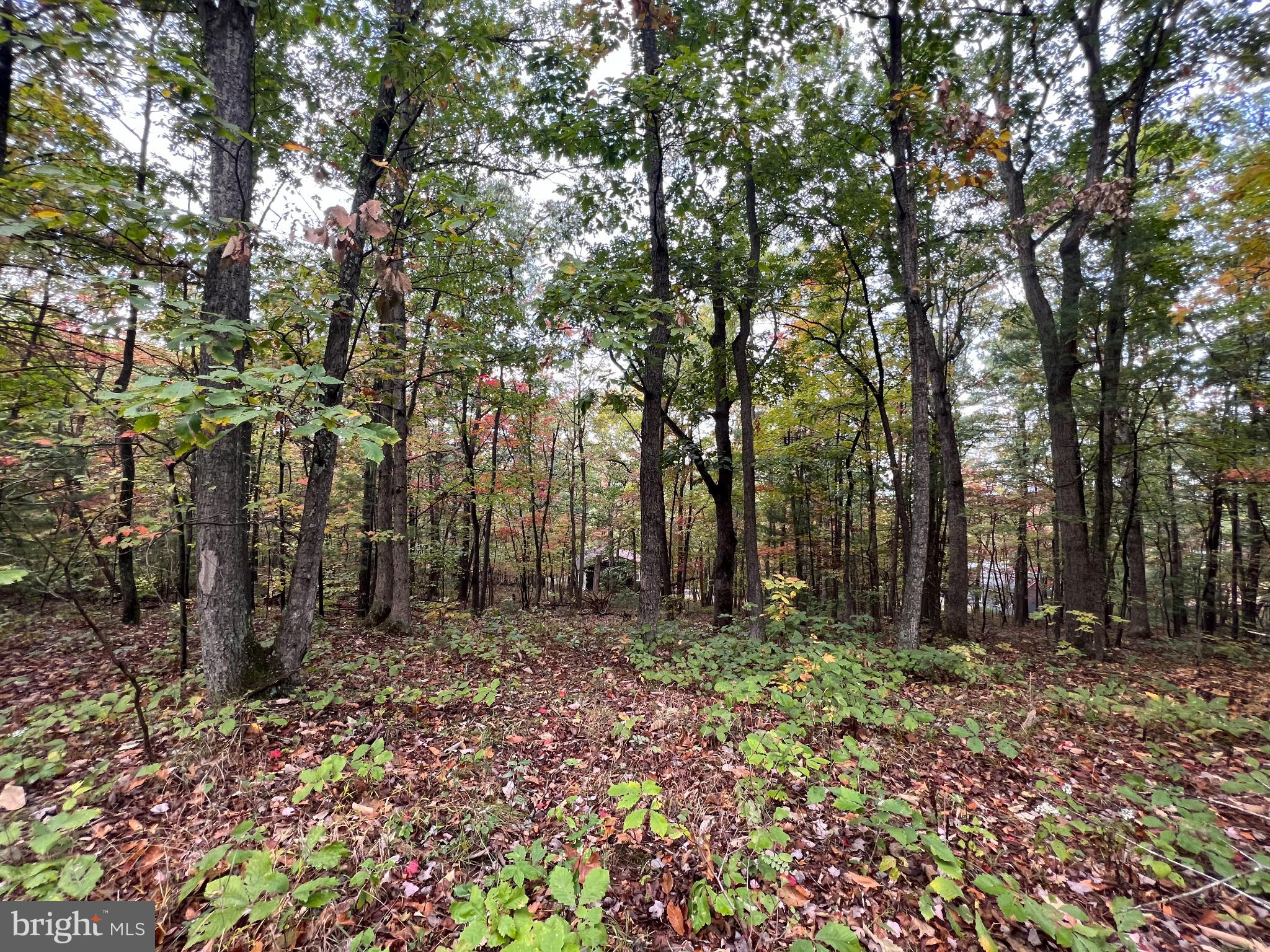 SUPINLICK RIDGE ROAD