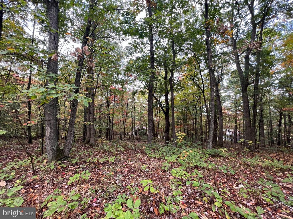 Photo of Supinlick Ridge Road, MOUNT JACKSON, VA 22842 (MLS # VASH2012782)