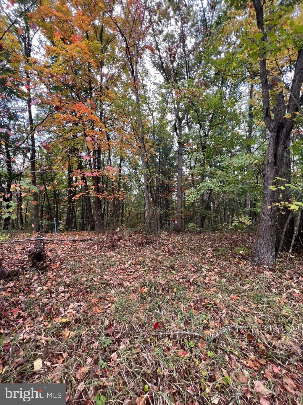 Photo of Supinlick Ridge Road, MOUNT JACKSON, VA 22842 (MLS # VASH2012782)