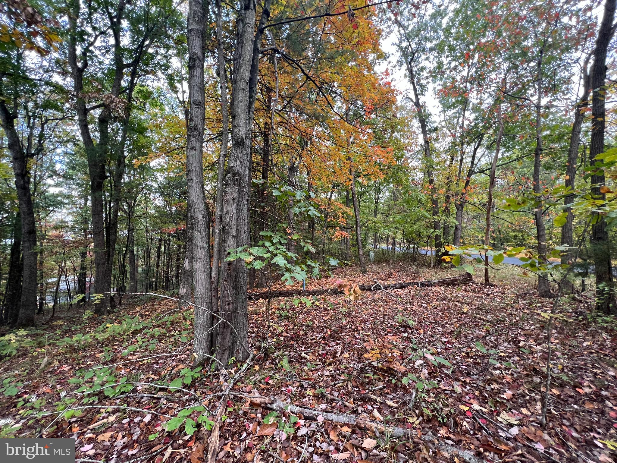 SUPINLICK RIDGE ROAD