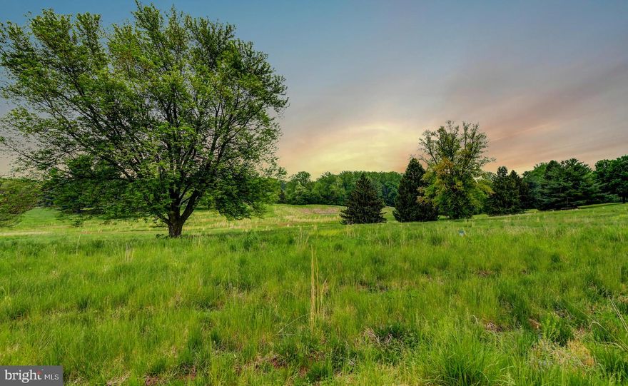 Realize your biggest dreams and then exceed them as you create and customize the features of an extraordinary build in the exclusive community of Castanea Estates. Enter through the 24 hr manned gate house designed by Vince Green and prepare to be amazed. You will marvel at the views of rolling green hills and water. Imagine privacy, tranquility yet convenience of being in the heart of the Falls Road corridor.