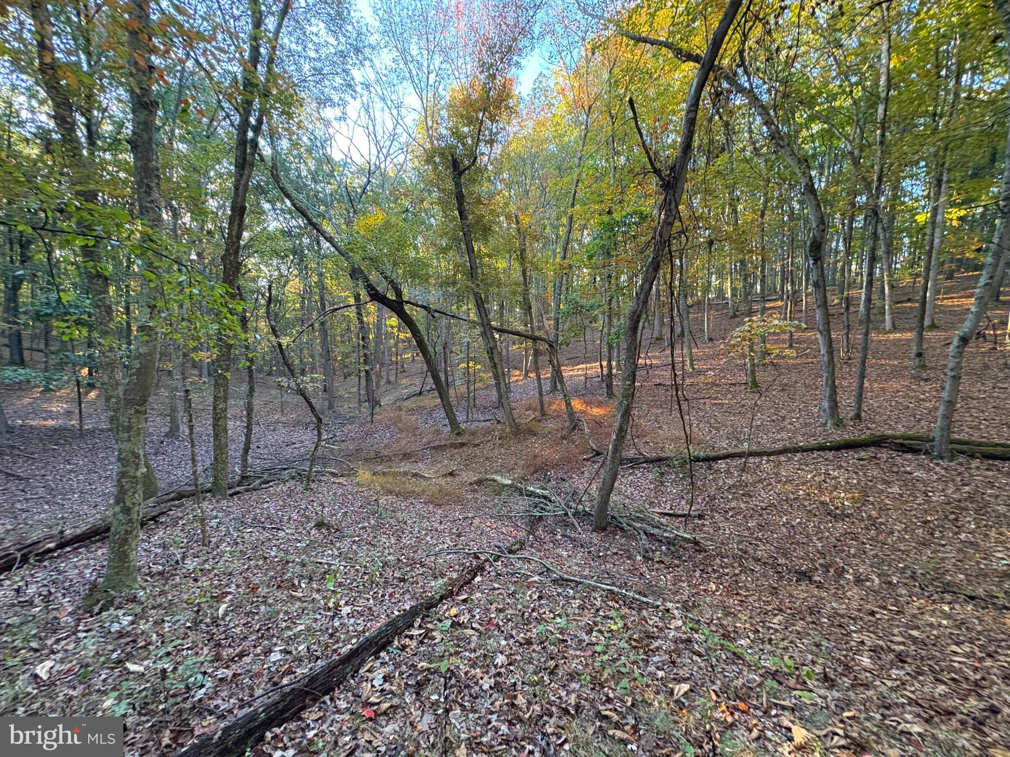 7313 LITTLE CACAPON ROAD