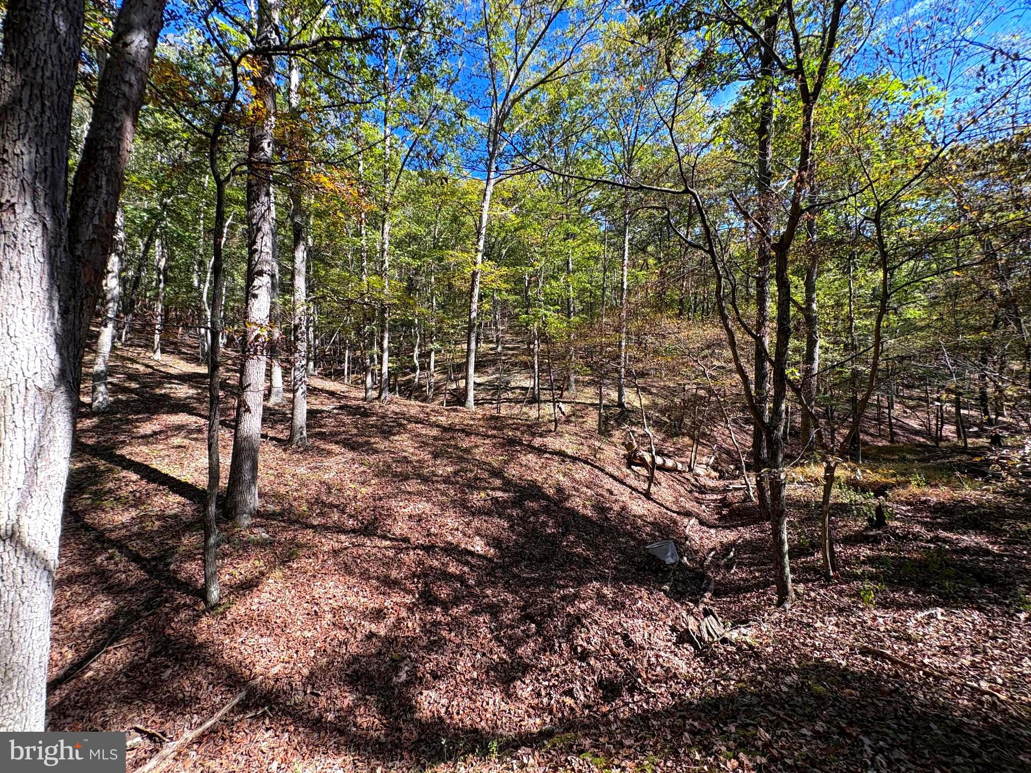 7313 LITTLE CACAPON ROAD