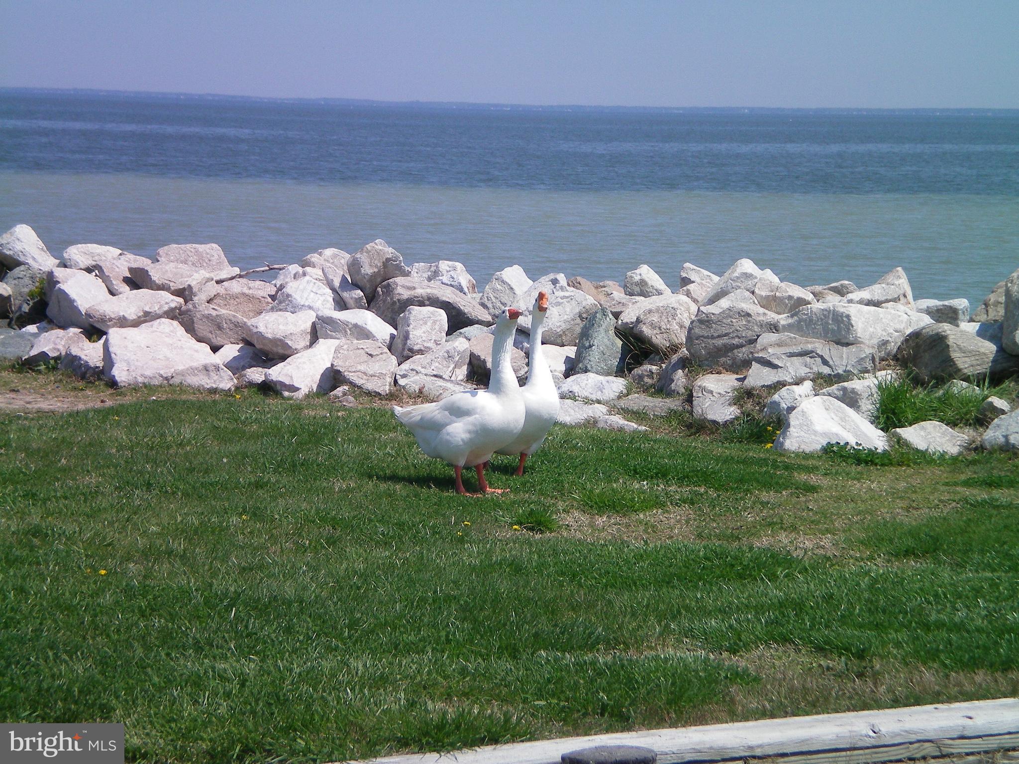 COLUMBIA BEACH - Residential