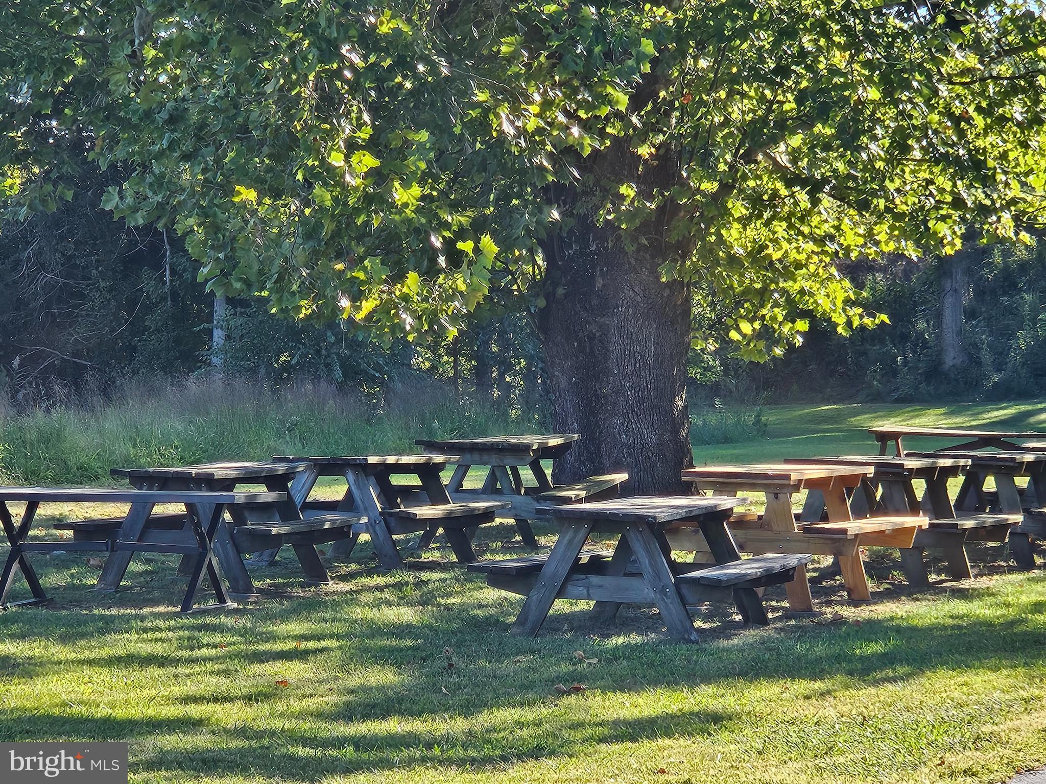 RAPPAHANNOCK RIVER RUN - Land