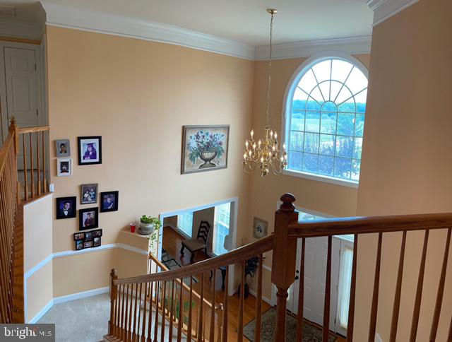 LAKELAND PLACE - Residential