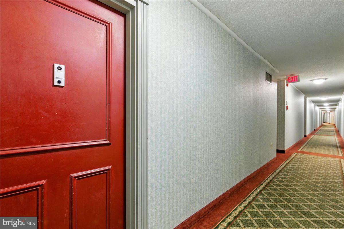 1225 MARTHA CUSTIS DRIVE 919