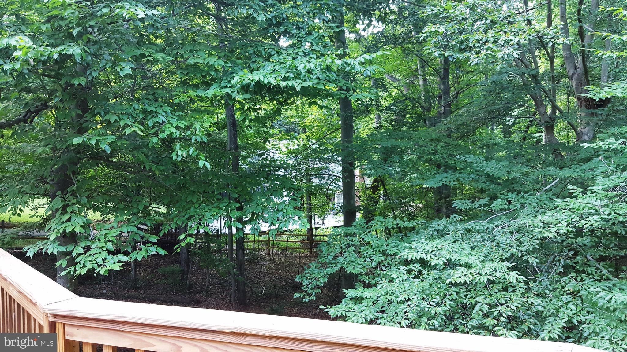 ALGONQUIN HILLS - Residential