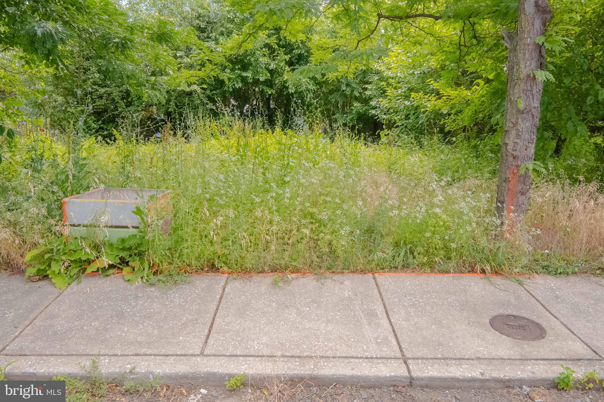 MCELDERRY PARK - Land