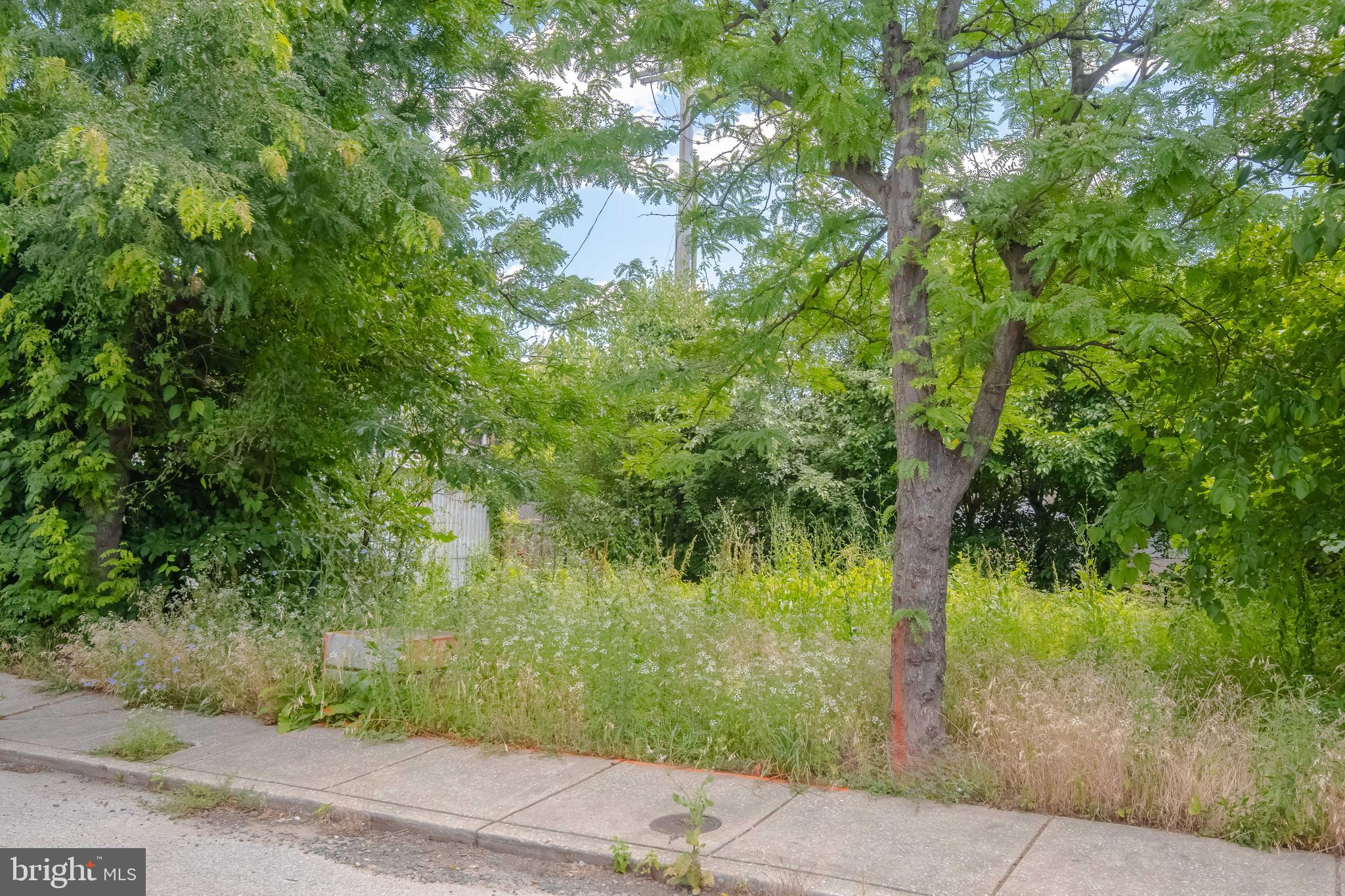 MCELDERRY PARK - Land