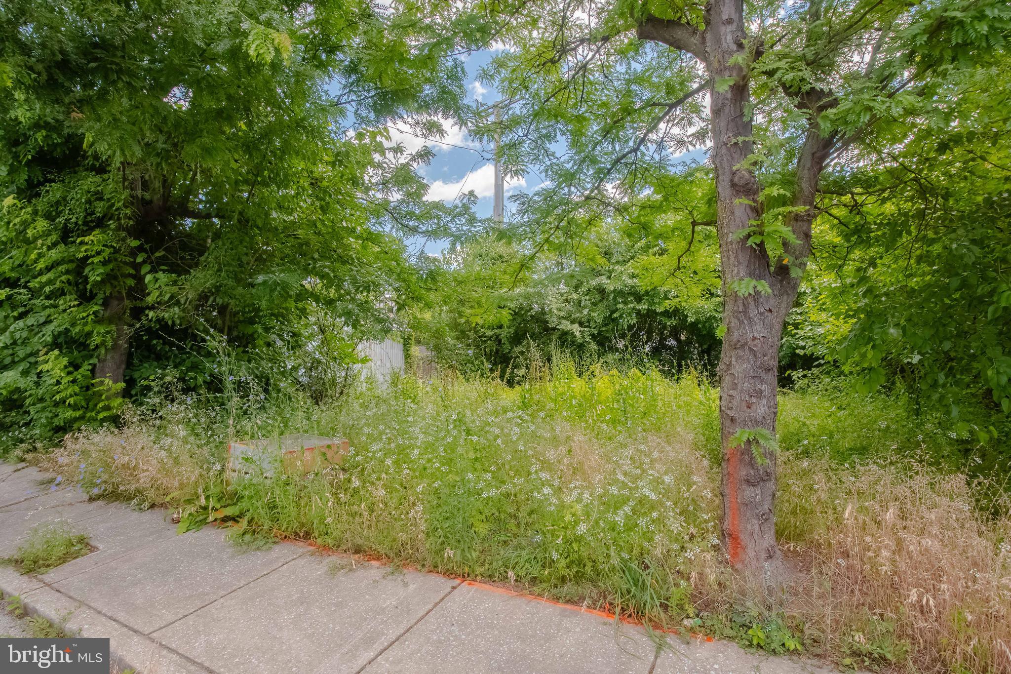 MCELDERRY PARK - Land