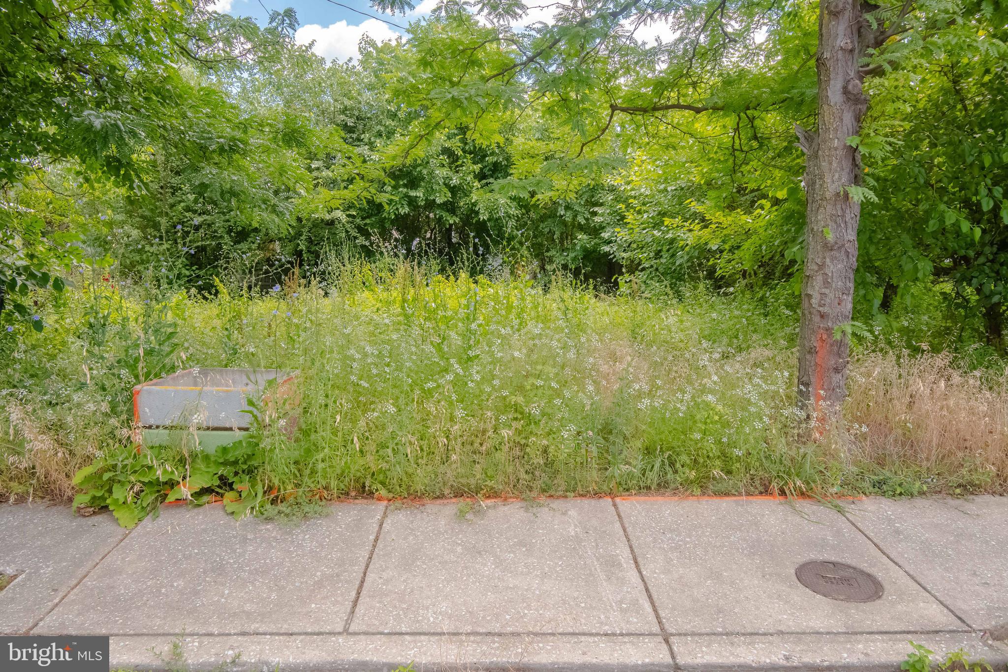 MCELDERRY PARK - Land