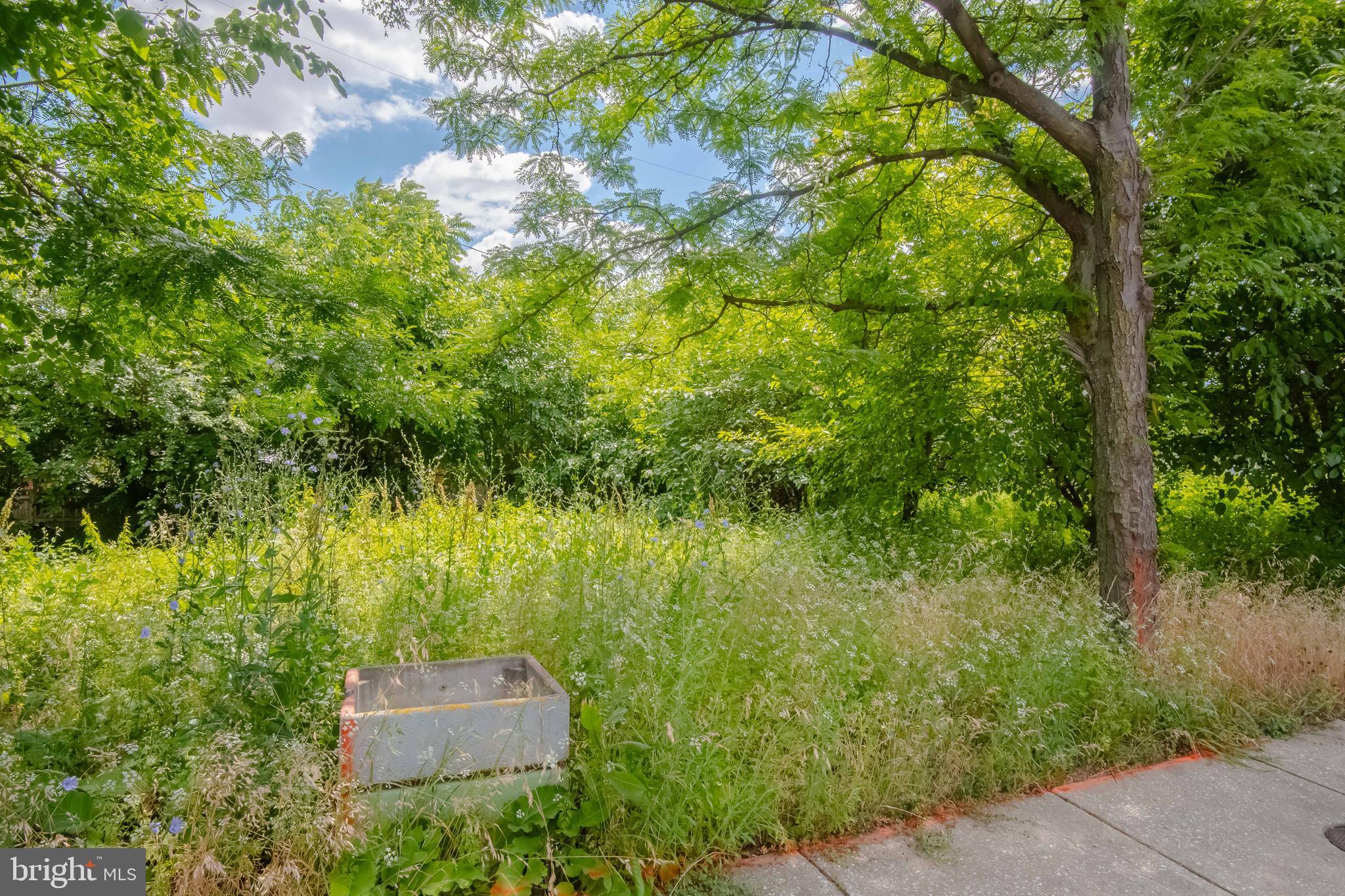 MCELDERRY PARK - Land