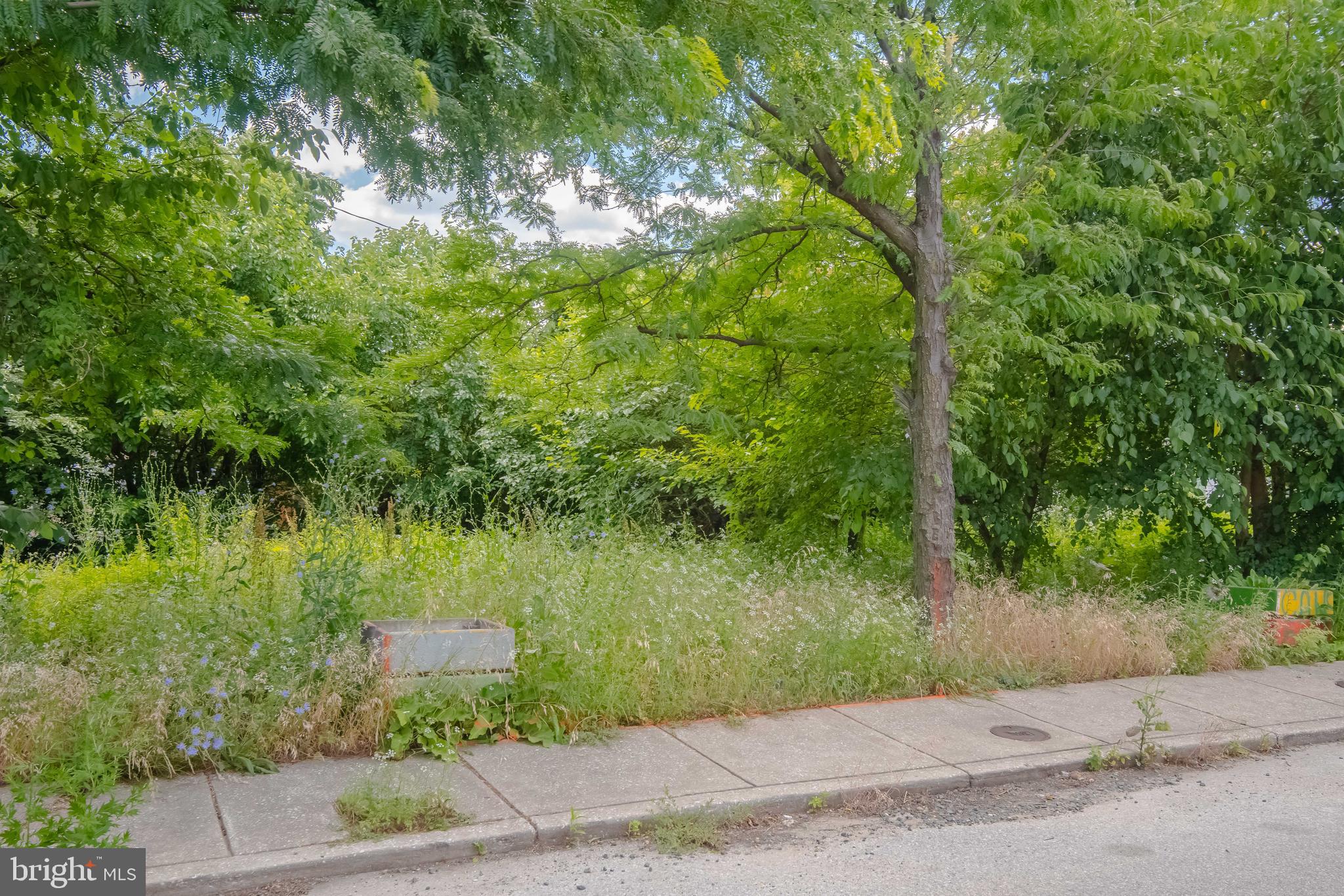 MCELDERRY PARK - Land