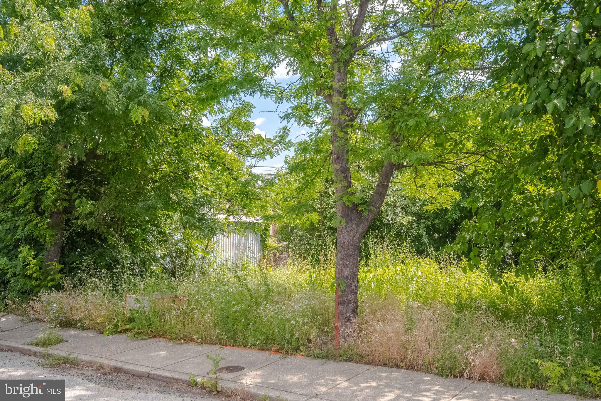 MCELDERRY PARK - Land