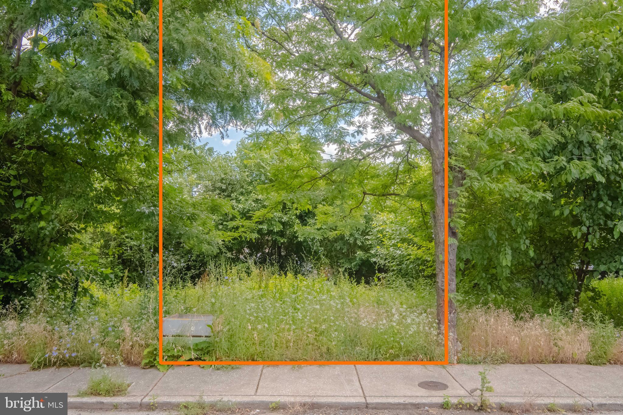 MCELDERRY PARK - Land