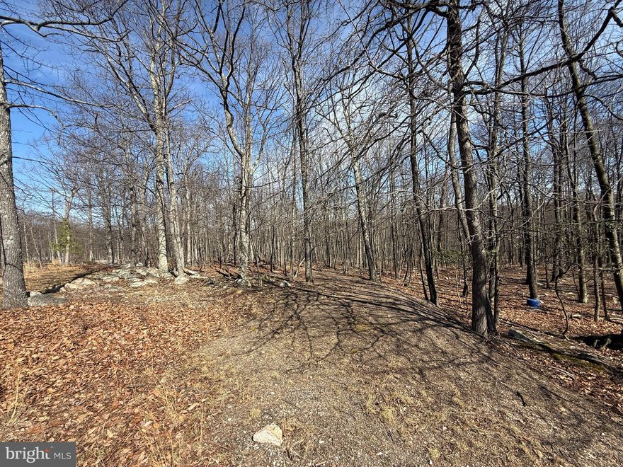 Building lot available in Cacapon East Subdivison. Property has been recently surveyed. Power is also right at the lot. This is a nice community with paved roads throughout and convenient access to Berkeley Springs and Winchester VA. Come take a look today!