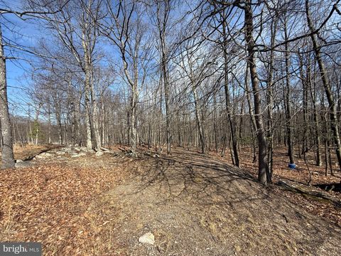 0 PARKSIDE TERRACE BERKELEY SPRINGS WV 25411