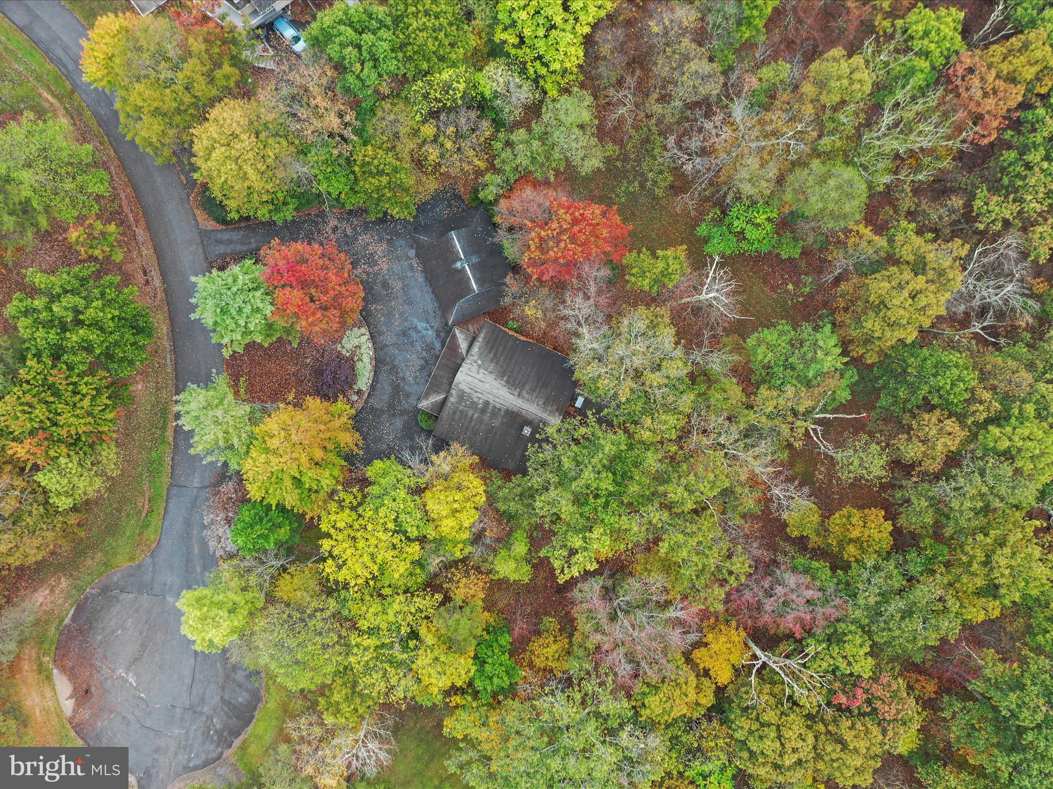 THE WOODS - Residential